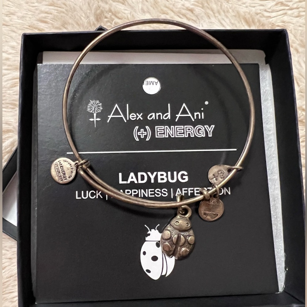 2013/14 Alex and Ani Ladybug Bangle